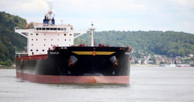 Navire vraquier de 240 m de long venu charger 59 000 t d'orges à destination de la Chine.