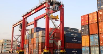 Les portiques de parc de Congo Terminal