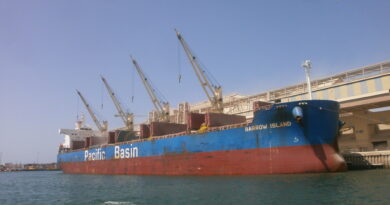 Le secteur des vracs secs s'est rattrappé au second semestre mais la situation reste fragile