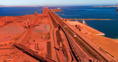 Transnet Port Afrique Sud
