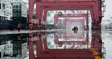 Chine Conteneurs APM Terminals Port Qingdao