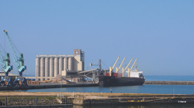 Céréales La Rochelle Export