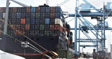 Port autonome Douala Bolloré APM Terminals Conteneurs