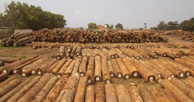 Produits forestiers Afrique