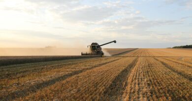 Flux céréales export