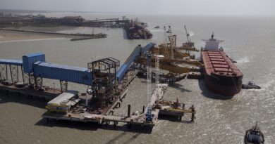 Valemax gigantisme assurance