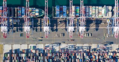 Conteneur Assurance Gigantisme