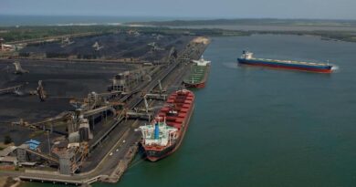 Charbon Richards Bay Vracs secs