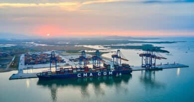 Gemalink Vietnam Conteneurs