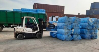 Coton Mali Chargement Bolloré