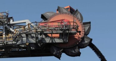 Charbon vracs secs importations logistique