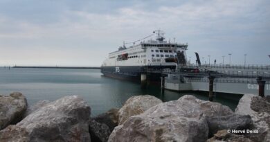 Transmanche DFDS Calais Port