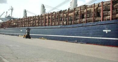 navire chargement bois