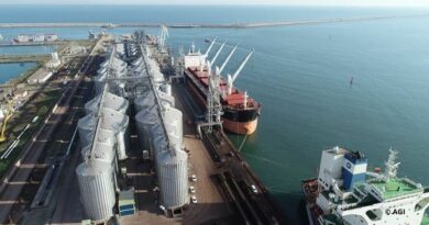 Céréales Constant Port