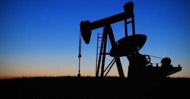 Pétrole Afrique Investissements