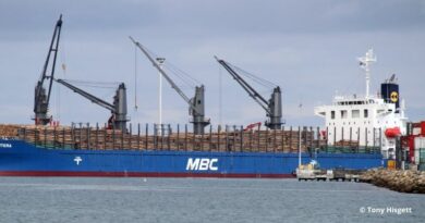 Log Ship Logistique produits forestiers