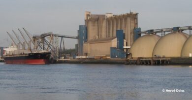 Céréales GPM Rouen Haropa