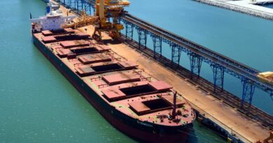 Vracs secs Minerais de fer