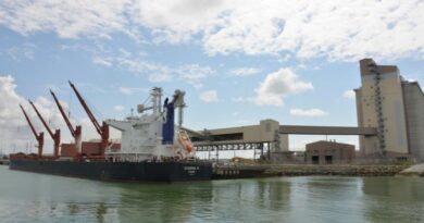 Céréales GPM La Rochelle