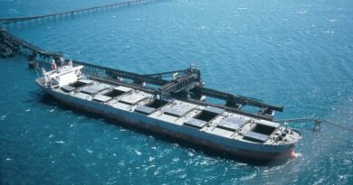 Capesize vracs secs charbon