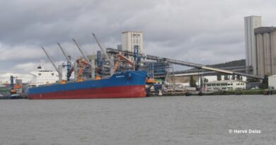 Haropa Ports céréales trafics