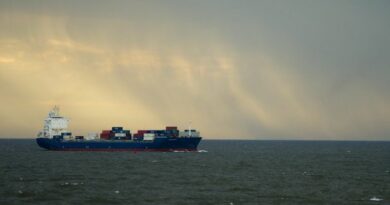 Conteneur Vracs Cnuced