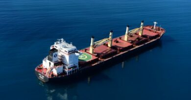 Louis Dreyfus Supramax Vracs secs