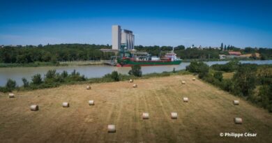 Céréales Exportations Blé Orges Maïs