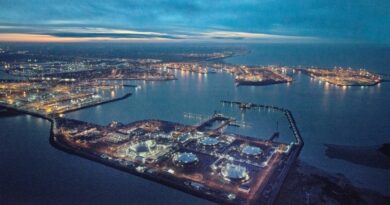 Port Anvers-Bruges Conteneurs Vracs solides