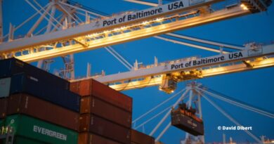 Conteneurs Port Baltimore Terminaux