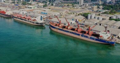 Port autonome de Cotonou Sobemap manutention