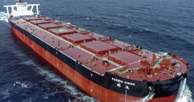 Very Large Ore Carrier Capesize Minerais de fer