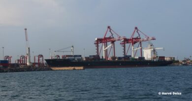 Togo Terminal Bolloré MSC