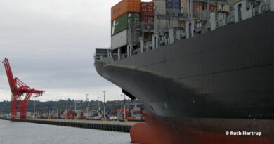 Conteneurs congestion portuaire résultats financiers