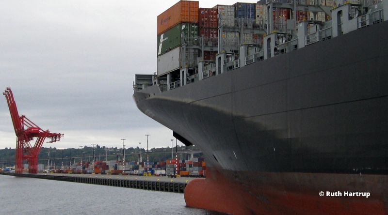 Conteneurs congestion portuaire résultats financiers