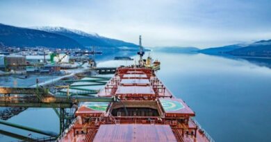 Armateurs vracs secs