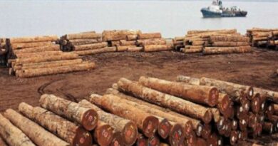 Logistique Bois Congo