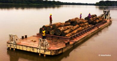 Fluvial Bois Afrique de l'Ouest