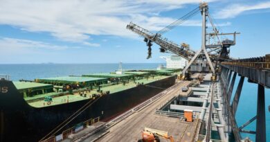 Charbon Vracs secs Minerais de fer Chine