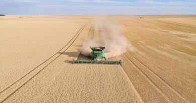 Céréales FranceAgriMer Exportations