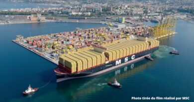 MSC conteneurs Port Trieste