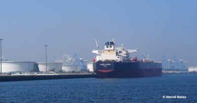 pétrole, armateurs, AIE