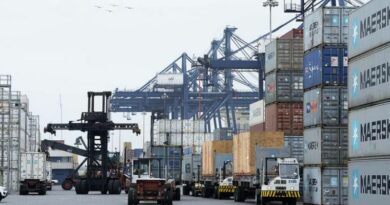 Port Chili San Antonio