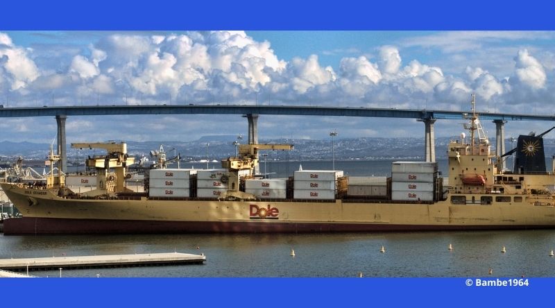 Conteneurs reefers Dole Vessel