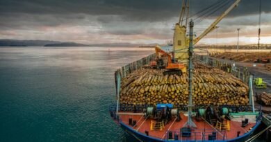 Logistique bois navire Clipper