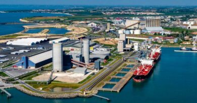 Marchés vracs secs céréales