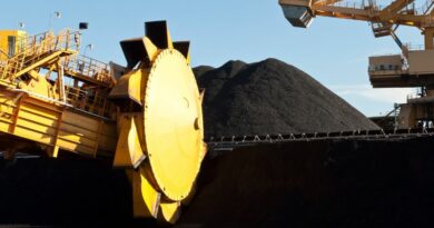 Charbon vracs secs marchés