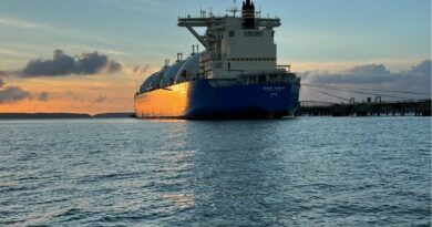 GNL Afrique Africa Energy Chamber