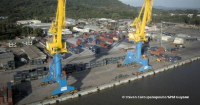 Grues électriques GPM Guyane