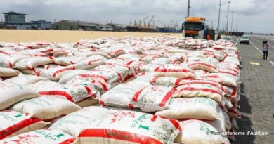 Port autonome Abidjan trafics céréaliers